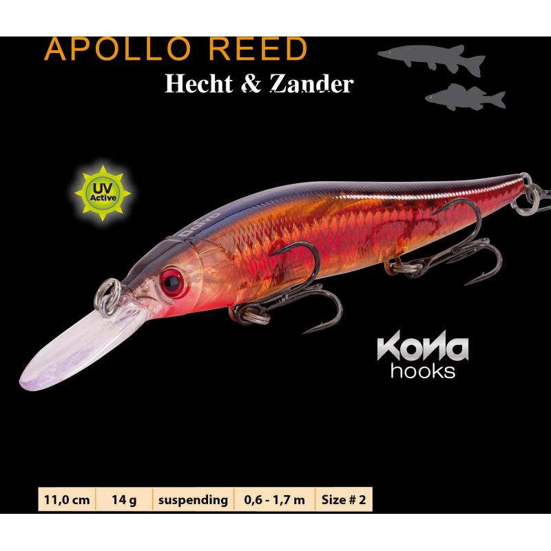 IC DOIYO  Apollo Reed suspending UV 110mm GP