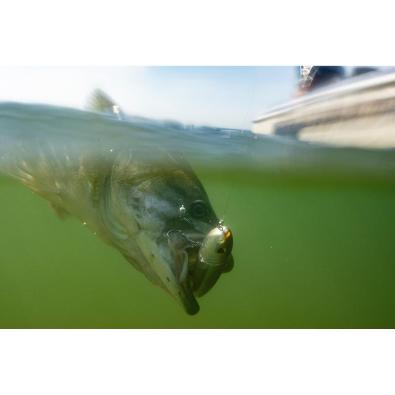 Berkley J-Walker 10cm 14g Baby Bass