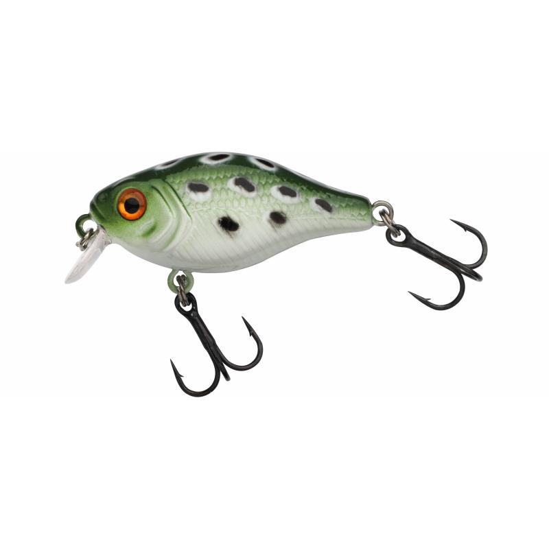 Berkley Pulse Fry Shallow 3.8cm Frog