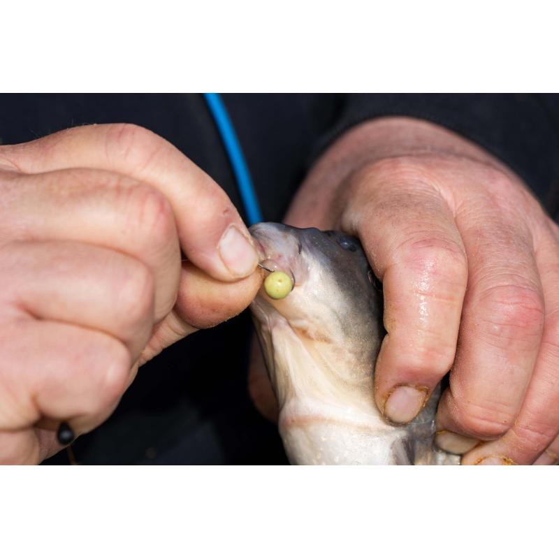 Spike'um Wafter Meaty Mussel