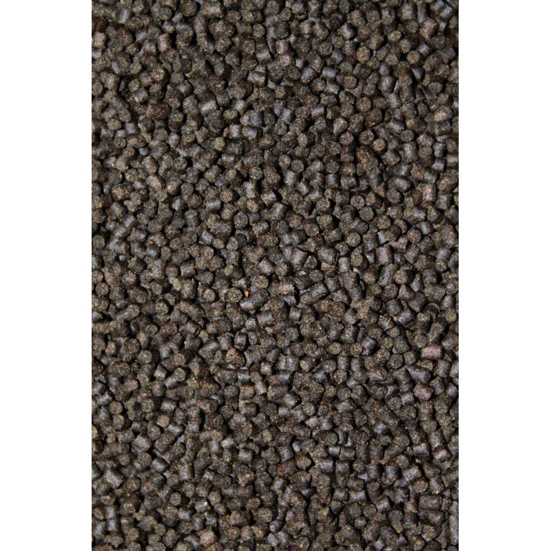 FTM Forelli 1000g T&uuml;te