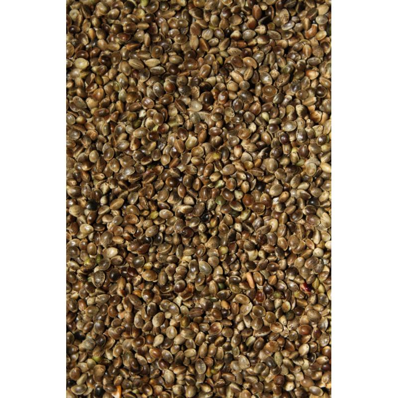 FTM Hanfk&ouml;rner 700g T&uuml;te