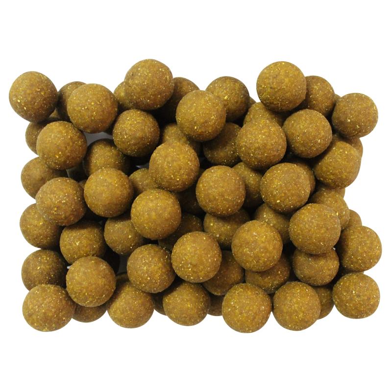 FTM Boilie Virus Popup Ananas/Fish 100g &Oslash; 16mm