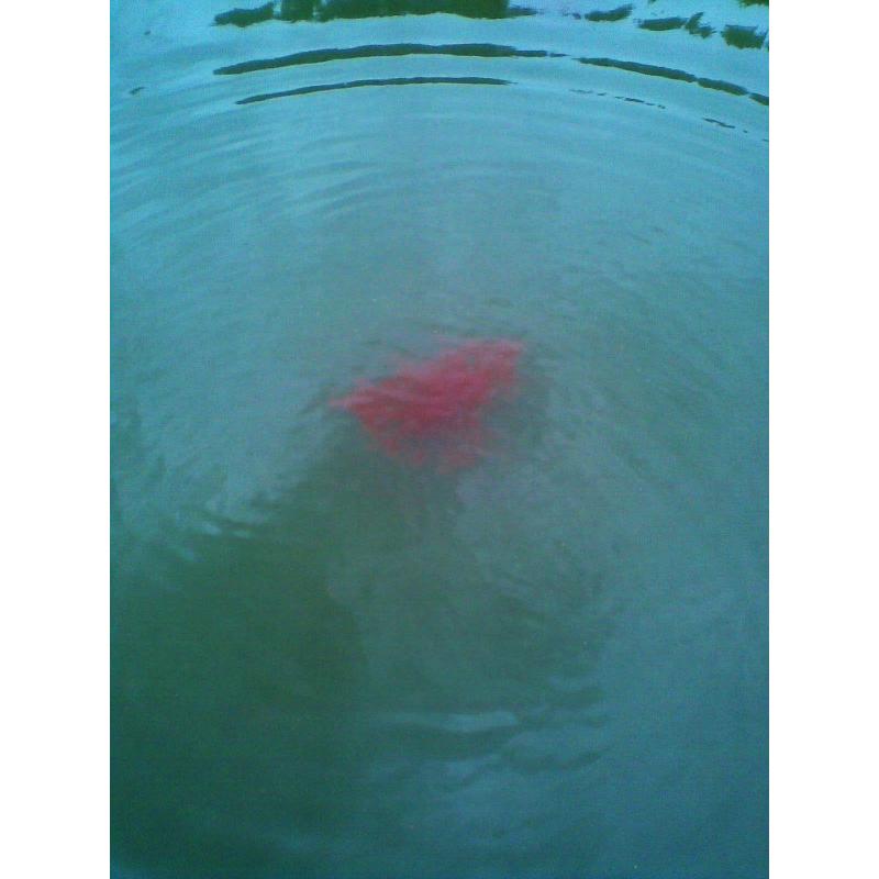 FTM Amino Flash Wolkenbilder rot 540 g