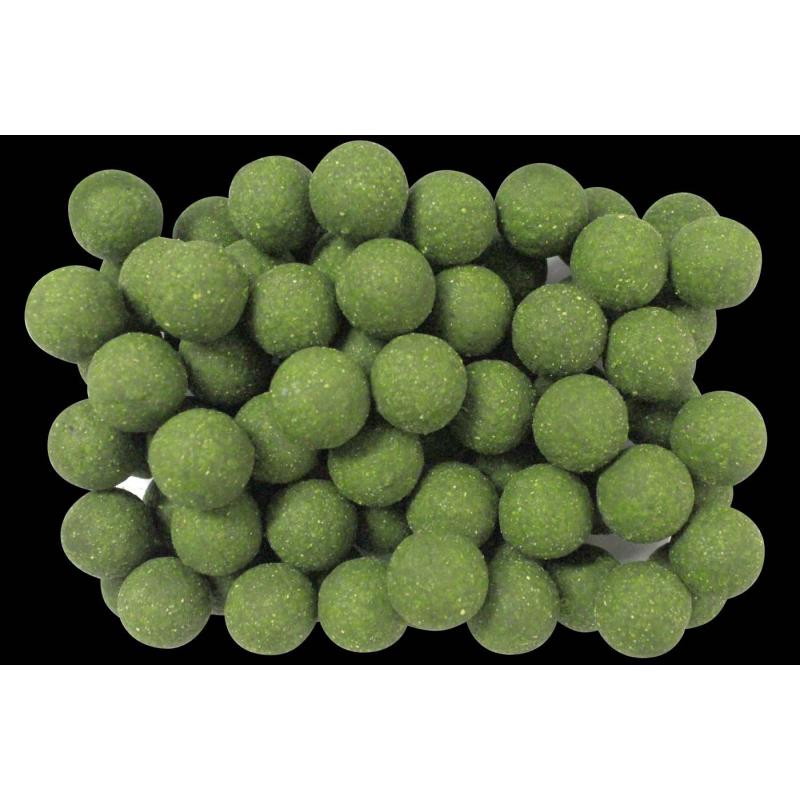 Amino Flash Boilie Virus Popup Muschel 100g &Oslash; 20mm