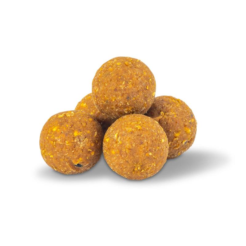 ANACONDA AI Carp R2 Scopex 1KG/24mm