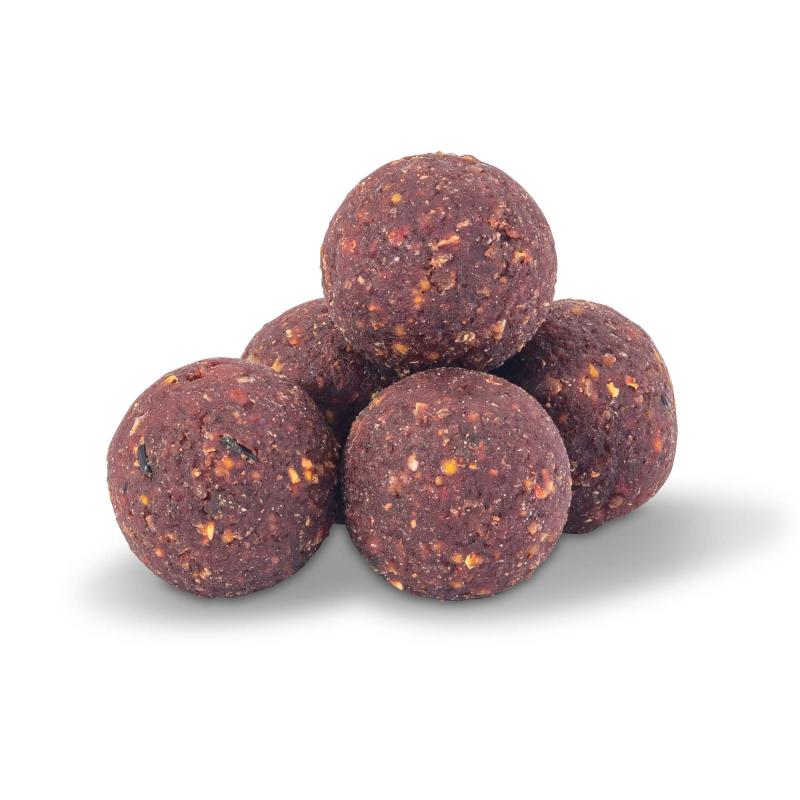 ANACONDA AI Carp R2 Maxxy Spice 1KG/24mm