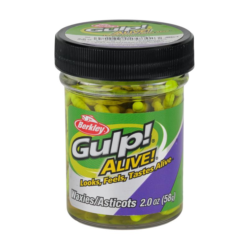 Berkley Gulp! Alive! Waxies Chartreuse 1cm