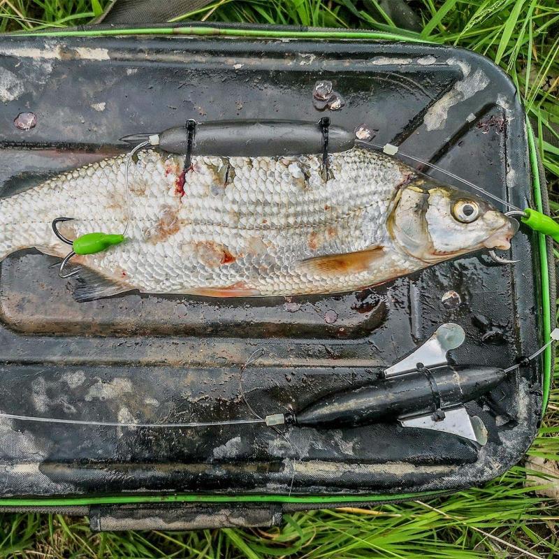 Zeck Deadbait U-Float 10g