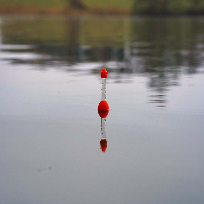 Zeck DB Light Waggler 6g