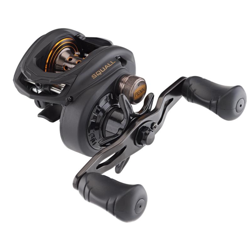 PENN Squall Low Profile 200 LH 6.6:1