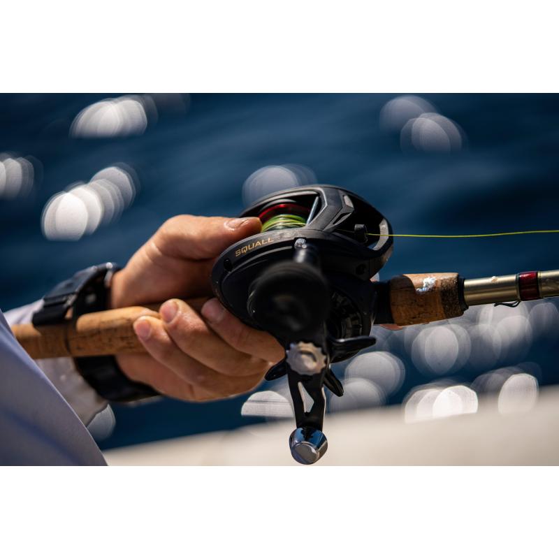 PENN Squall Low Profile 300 LH 7.3:1