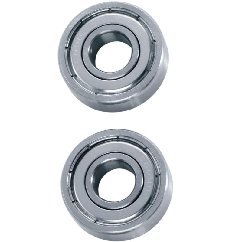 WFT Catbuster 30.000 4B/B Spin + Exact-Schnur