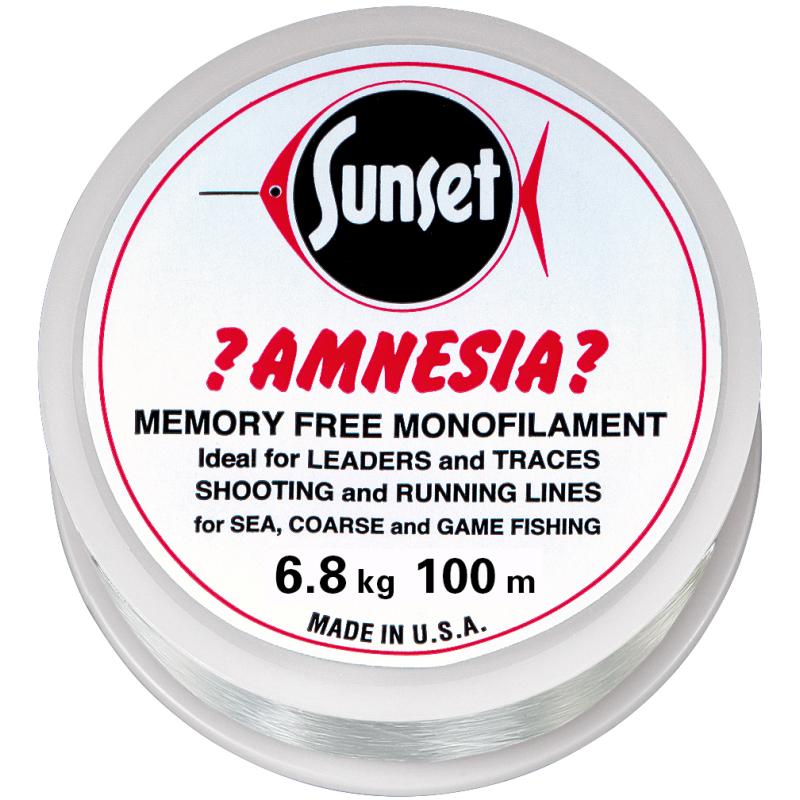 Amnesia Leader Vorfach, Klar, 15lbs 100m