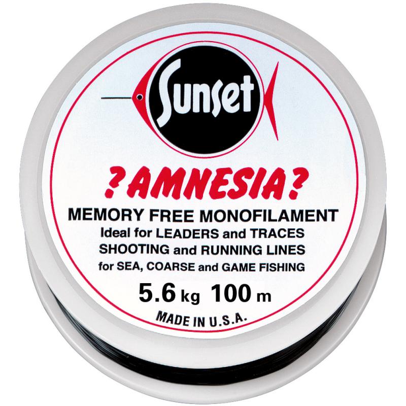 Amnesia Leader Vorfach Schwarz 12lbs 100m