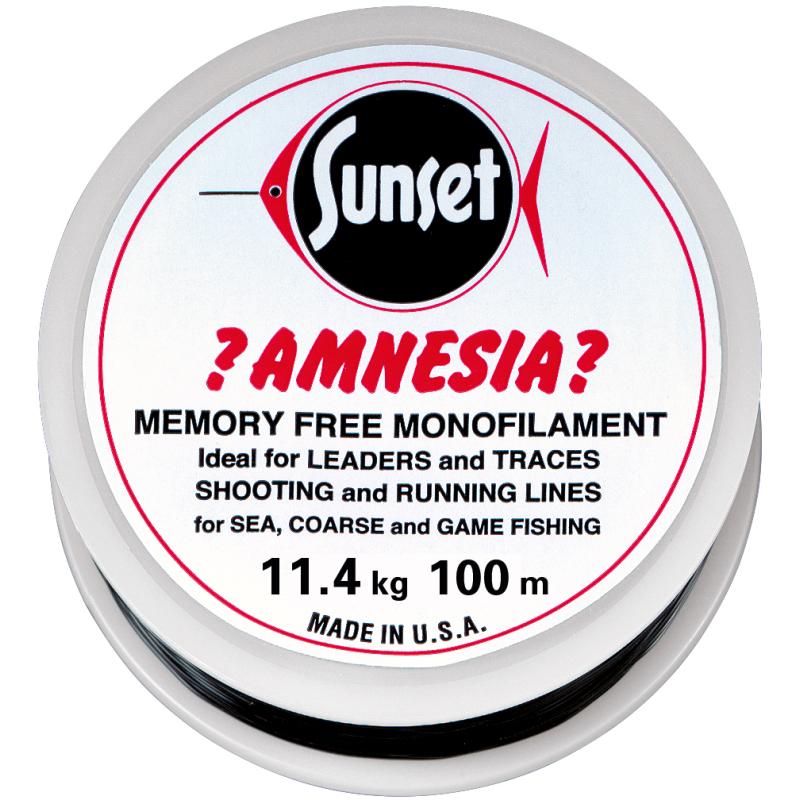 Amnesia Leader Vorfach Schwarz 25lbs 100m