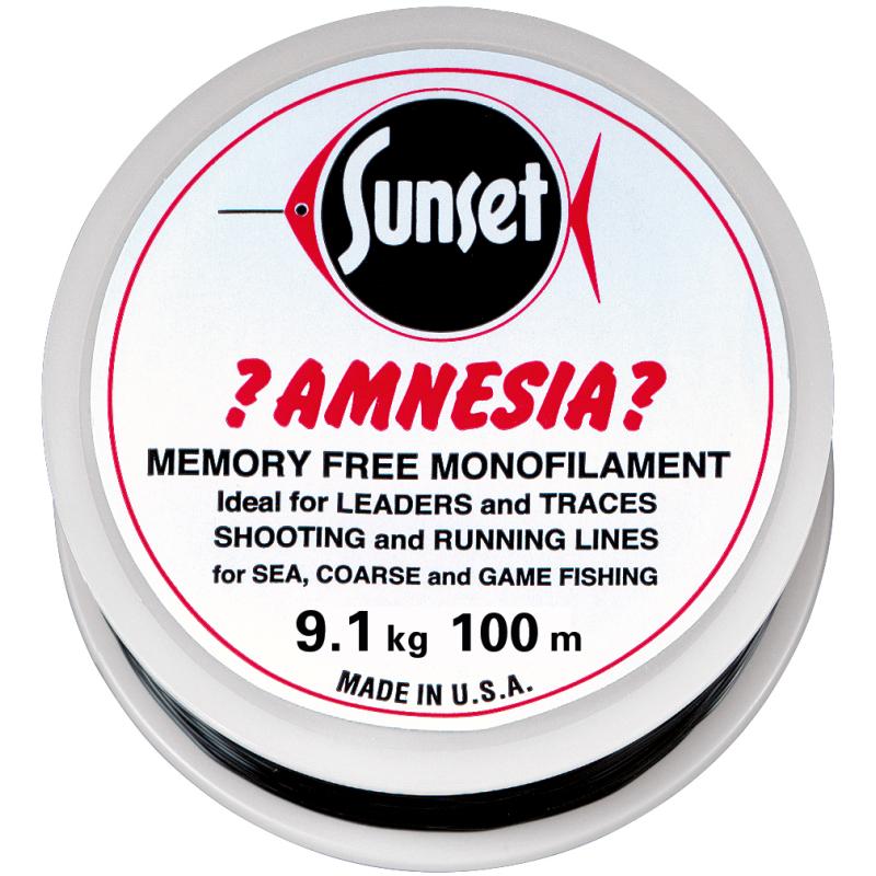 Amnesia Leader Vorfach Schwarz, 20lbs 100m