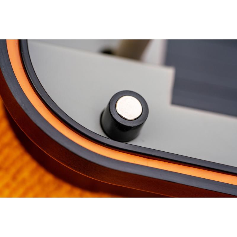 Guru Adjustable Rig Case 6 inch