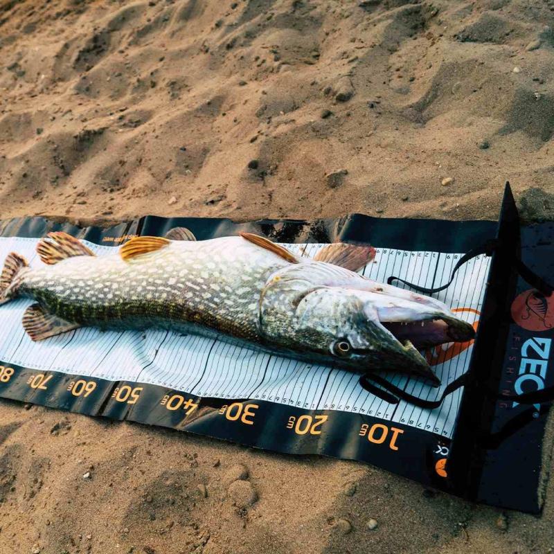 Zeck Unhooking Ruler 40 x 140cm