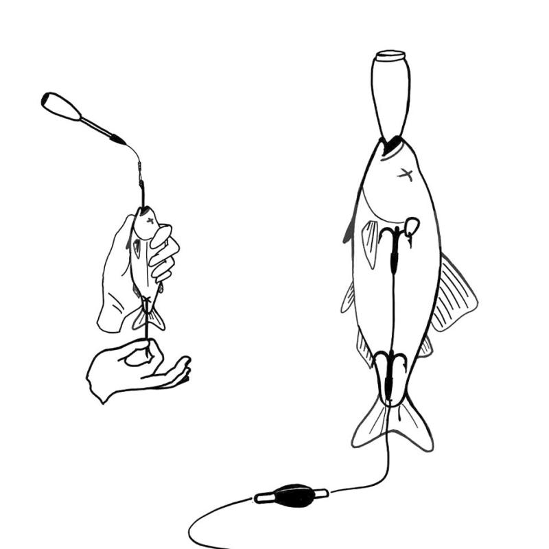 Zeck DB Pop Up Stick 2 pcs