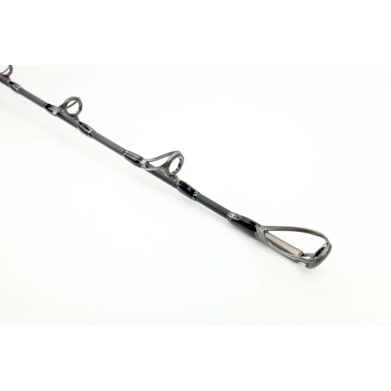 Sportex Top Cat CS-2 TC1909 1,92m WG 100-300g