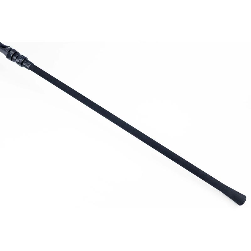 Sportex D.N.A. CS-3 12" 3,00lbs - AT Ti Forged AIR guides 3,66m 3lbs
