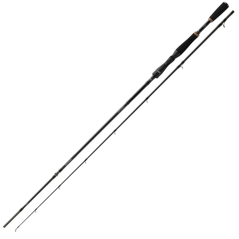 Daiwa Prorex XR BC 2.40m 40-120g