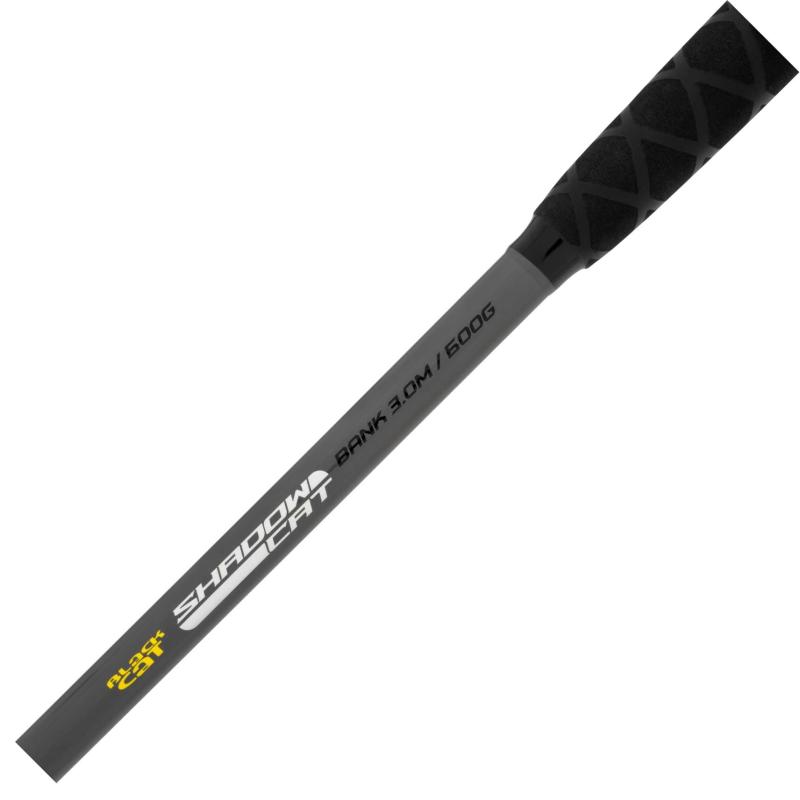 Black Cat Shadow Cat Bank 3.0
