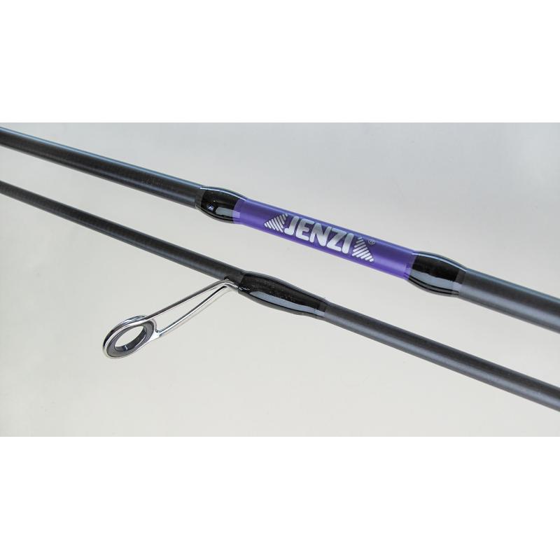 JENZI T-Rex DS Solid-Tip 1-8 g.1,98m