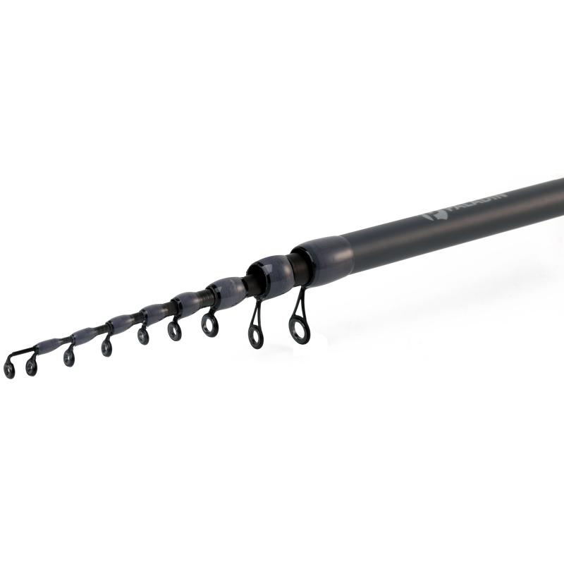 Paladin Trout Catcher Short 2S 3,00m 2-5g