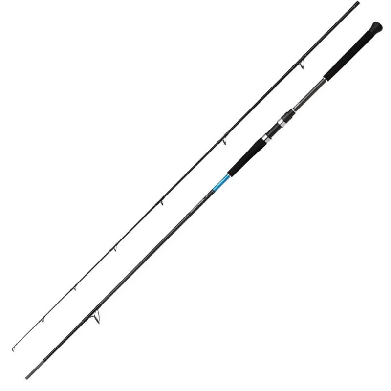 Shimano Bassterra XT Shore Jigging 9'6" 20-80g