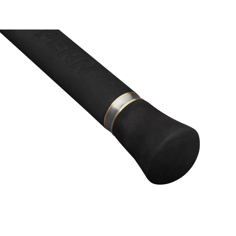 PENN Regiment IV Spin/Pilk 2,40m F 20-80g 2Sec Spin