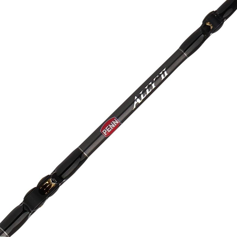 PENN Ally II 50-80lb 6F Arbb