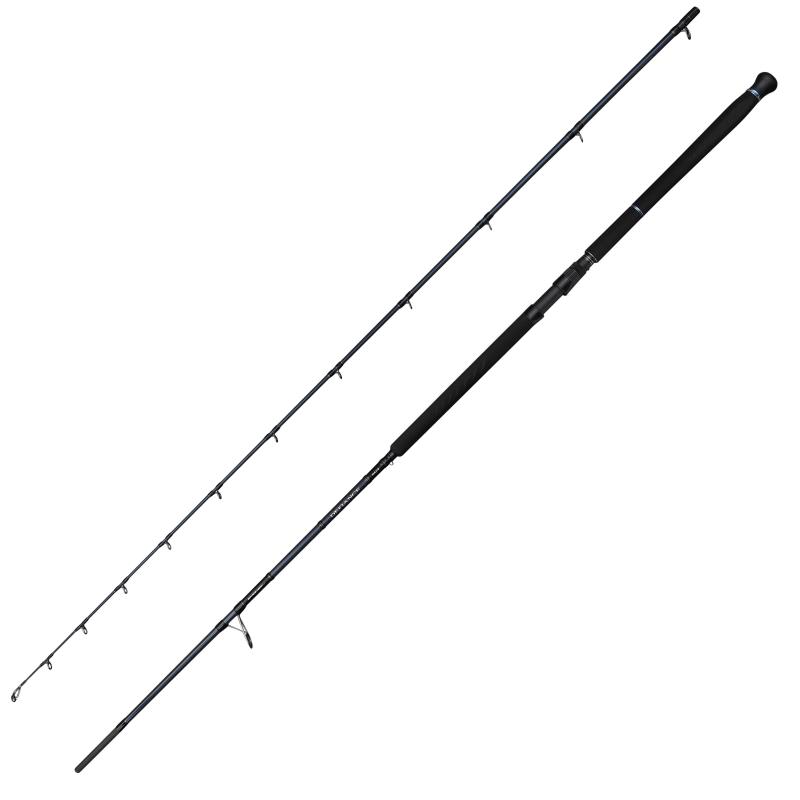 Savage Gear Defiance Sg2 Shore Jig 3.05M/30-100G 2P