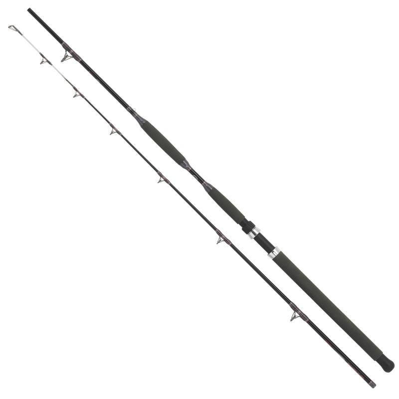 WFT Jacub Vagner CNC Cat 200-1.000g 3,00m