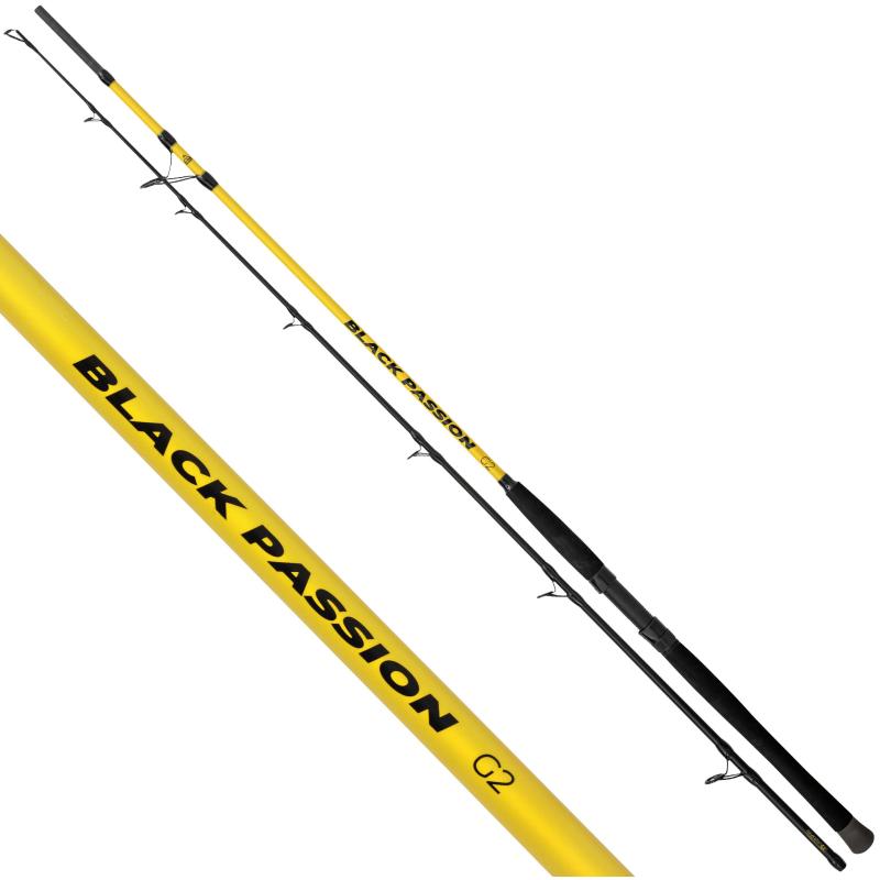 Black Cat 2,40m Black Passion G2 Spin Wfg.:50-200g G:275g