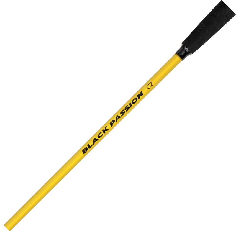 Black Cat 2,40m Black Passion G2 Spin Wfg.:50-200g G:275g