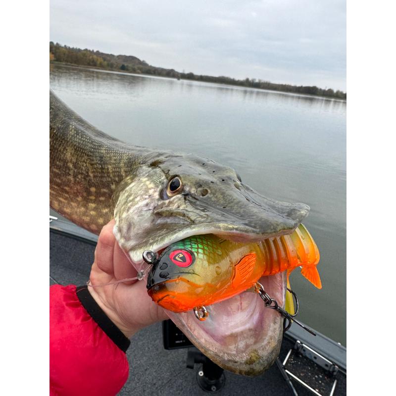 Fox Rage Jointed Replicant 20cm 8inch 120g Slick Scale