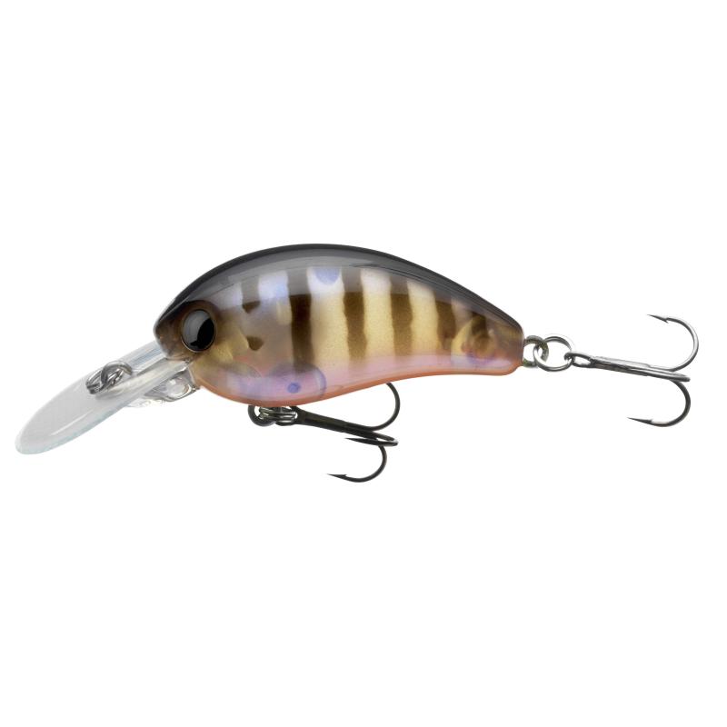 Daiwa Tournament Baby Crank 35F-DR PGP