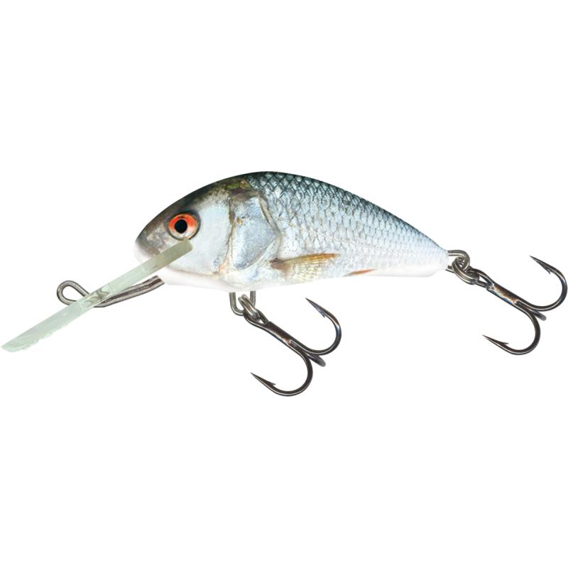 Salmo Hornet Sinking 5cm 8G Real Dace 2,5/4,0m