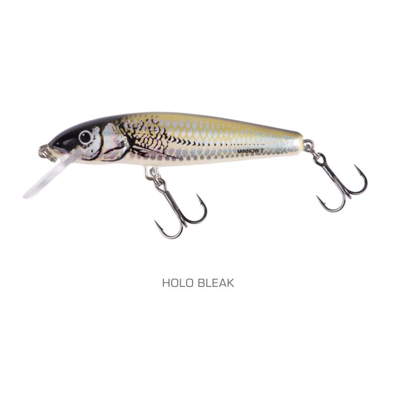 Salmo Minnow 5cm Floating Holo Bleak