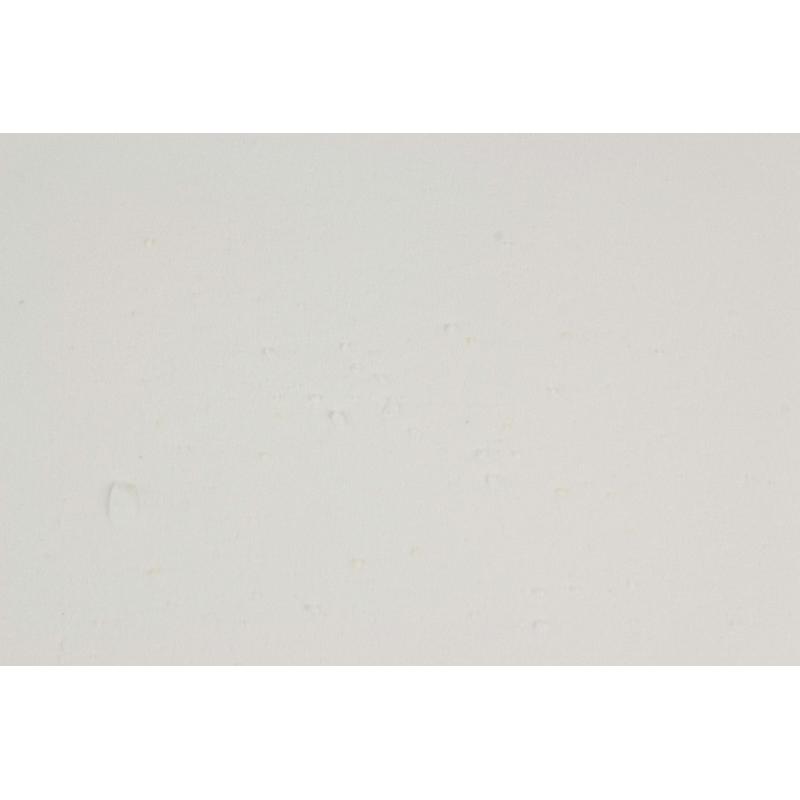 FTM Amino Flash Aroma Vanille 335 g