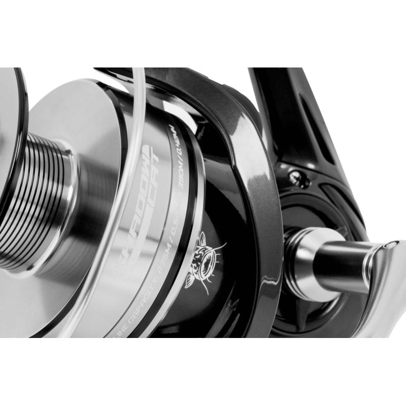 Black Cat Shadow Cat 6500