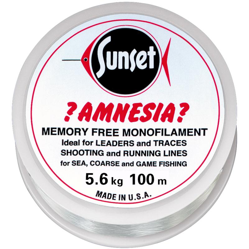 Amnesia Leader Vorfach, Klar, 12lbs 100m