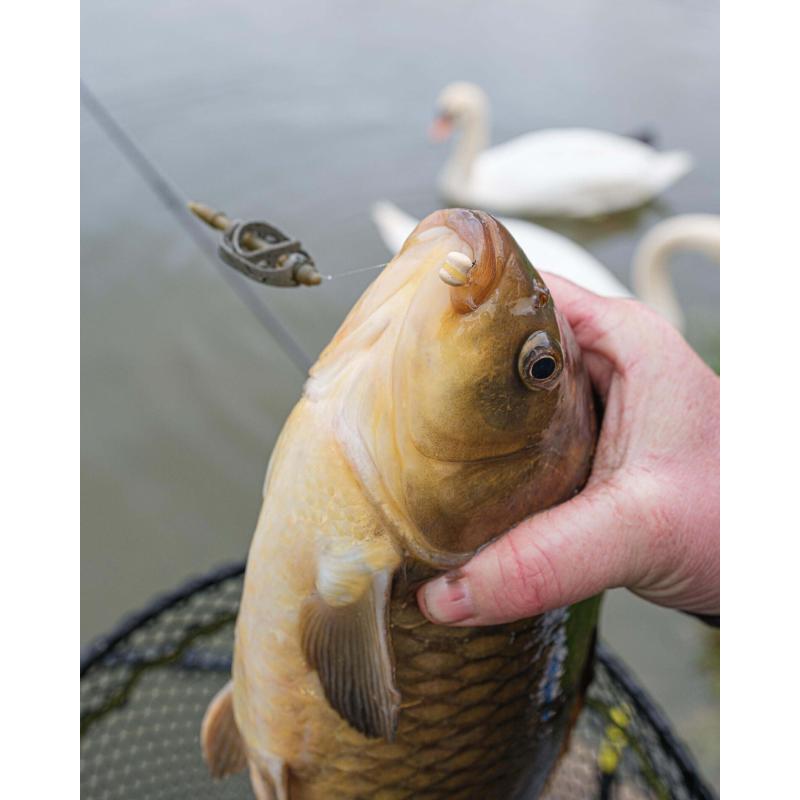 Matrix Method Feeder 20g M