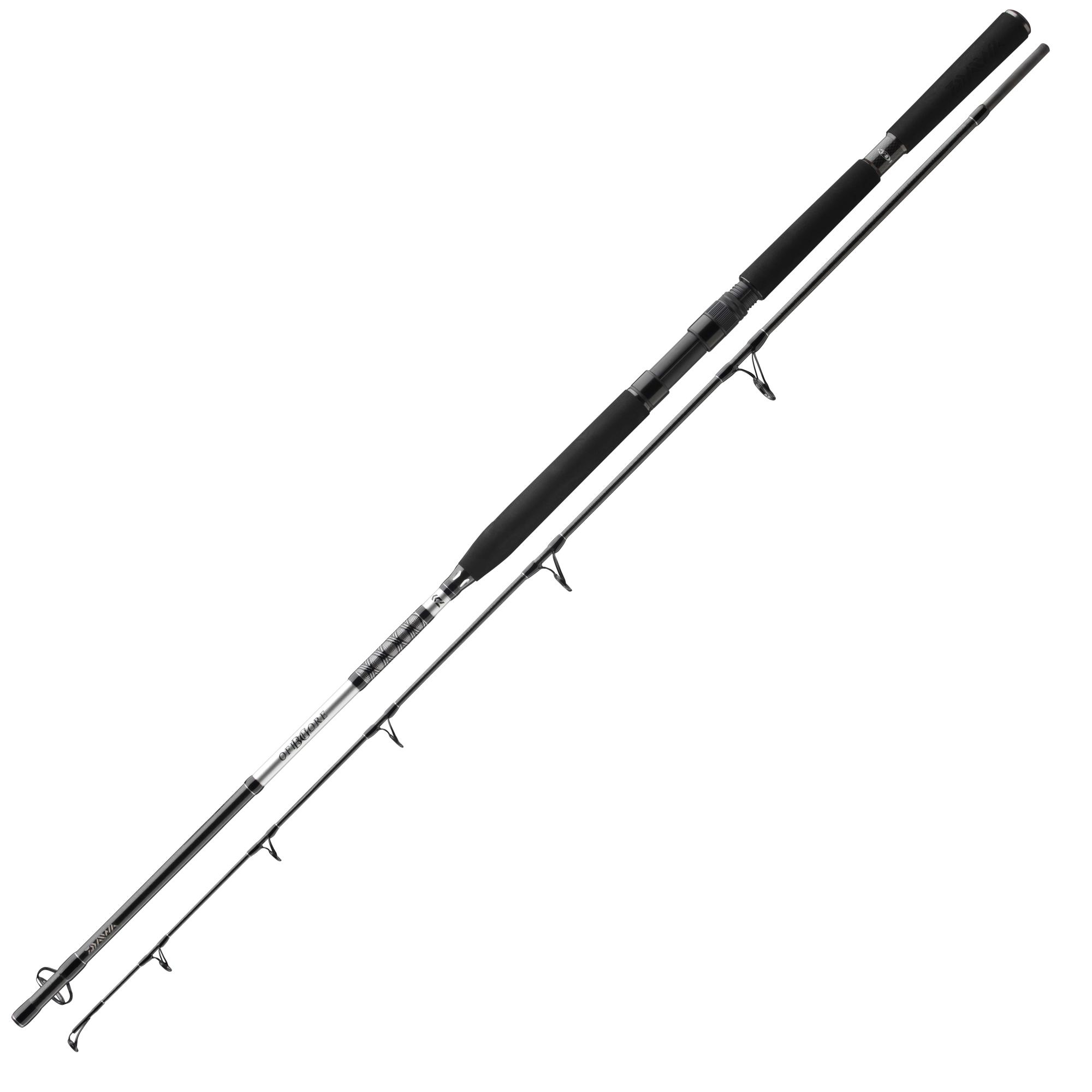 Daiwa BG Popper 2,30m 40-150g
