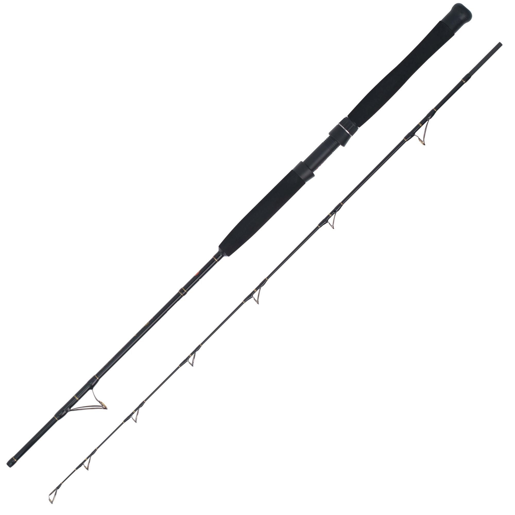 WFT Cool Sea Special Fjord 2pc. 2,10m 25lbs 30-300g