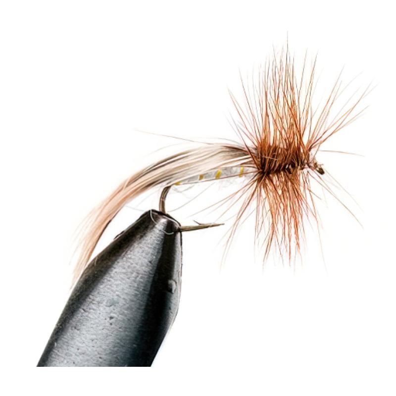 FLADEN Europa 12 White Body